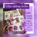 BAŞLANGIÇ SEVİYESİ – EKİM 2024